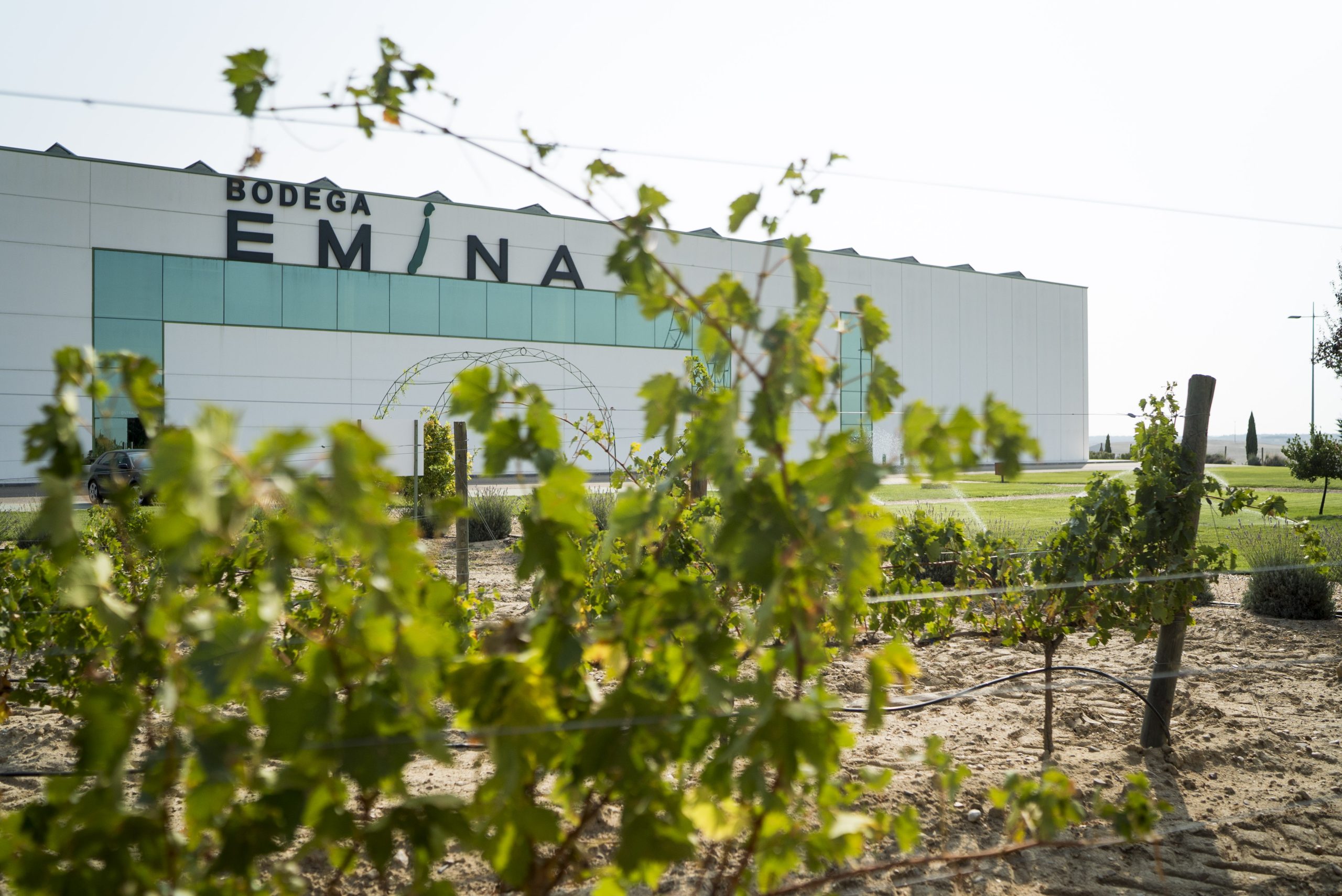 Bodega Emina Rueda consigue la certificación ‘Sustainable Wineries for Climate Protection Plus’