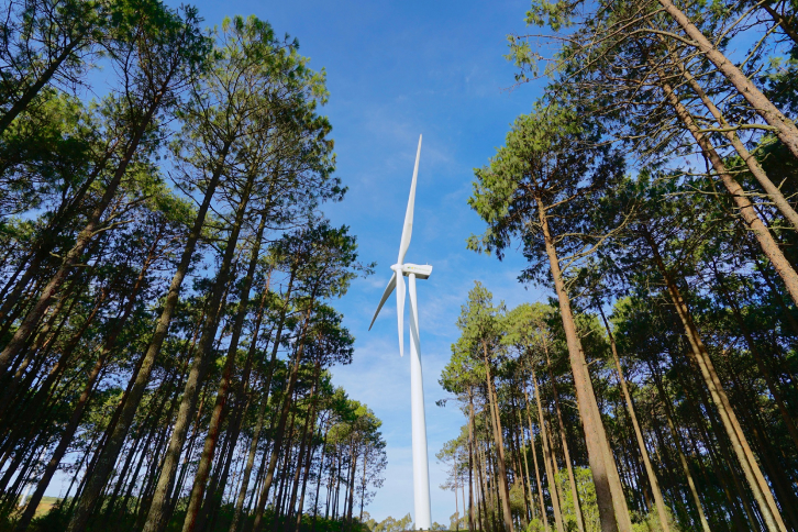 Iberdrola instalará el mayor parque eólico de Portugal